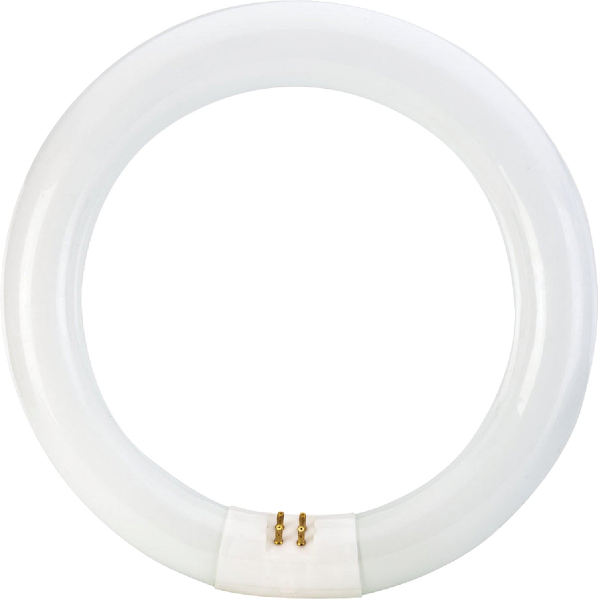 【STRONG】006 THERMAL (WHITE) Philips 22W 8 In. Cool White T9 4-Pin Circline Fluorescent