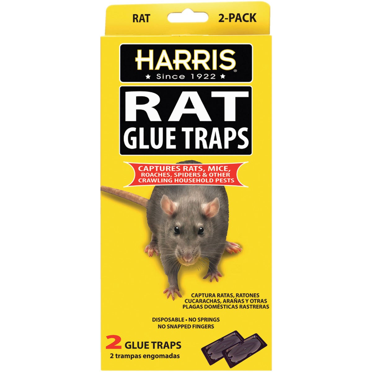 PF Harris Glue Rat & Mouse Glue Trap (2-Pack) – Hemlock Hardware