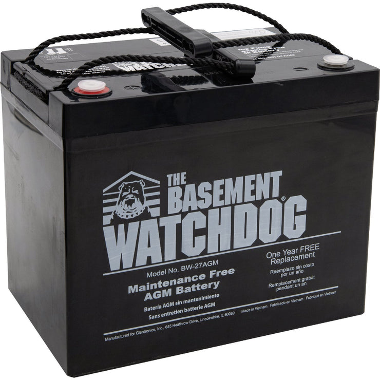 Image of The Basement Watchdog Maintenance Free AGM Standby Sump Pump Battery