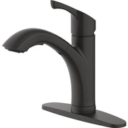 Image of Home Impressions 1-Handle Pull-Out Kitchen Faucet, Matte Black Finish