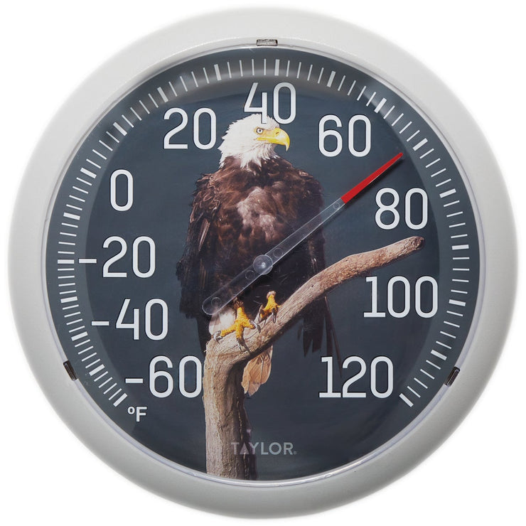 Image of Taylor 13.25 In. Eagle Nature Round Dial Thermometer