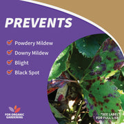 Image of Bonide Captain Jack's 1 Qt. Ready To Use Trigger Spray Copper Fungicide