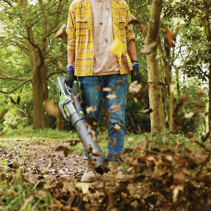 Image of Greenworks 80V 730 CFM 170 MPH Handheld Leaf Blower with 2.5 Ah Battery & Rapid Charger