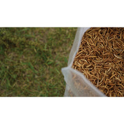 Image of Wonder Grubs 5 Lb. Dried Mealworms