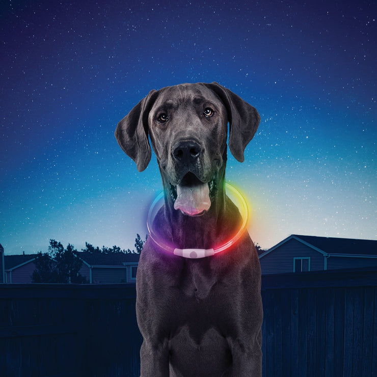 Image of Nite Ize Nite Howl Lithium Polymer Rechargeable Color Changing LED Safety Necklace
