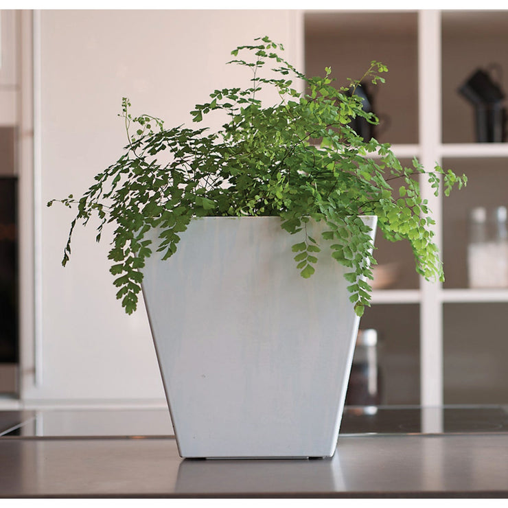 Image of Novelty ArtStone Ella 10 in. W. 11 in. H. x 10 In. L. White Resin Planter