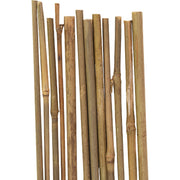 Image of Gardener's Blue Ribbon 3 Ft. Bamboo Plant Stake (12-Pack)