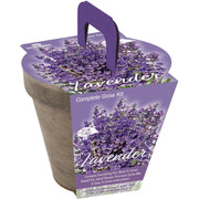 Image of TotalGreen Holland Lavender Grow Kit