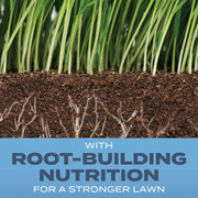 Image of Scotts Turf Builder 2.4 Lb. 200 Sq. Ft. Kentucky Bluegrass Mix Grass Seed, Fertilizer, and Soil Improver Combination