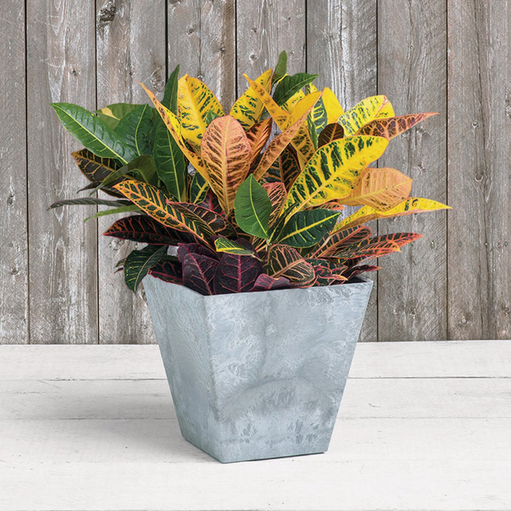 Image of Novelty ArtStone Ella 12 in. W. x 12 in. H. x 12 in. L. x Gray Resin Planter