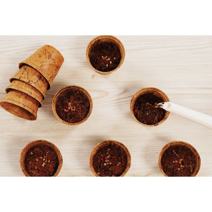 Image of PlantBest 3.25 In. Coconut Coir Plantable Pot (8-Pack)