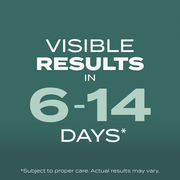 Image of Scotts Turf Builder 5.6 Lb. 465 Sq. Ft. Dense Shade Mix Grass Seed, Fertilizer, and Soil Improver Combination