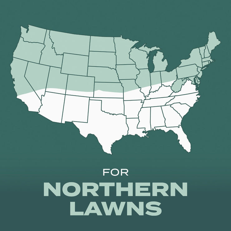 Image of Scotts Turf Builder 5.6 Lb. 465 Sq. Ft. Dense Shade Mix Grass Seed, Fertilizer, and Soil Improver Combination