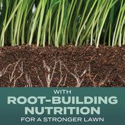 Image of Scotts Turf Builder 5.6 Lb. 465 Sq. Ft. Dense Shade Mix Grass Seed, Fertilizer, and Soil Improver Combination