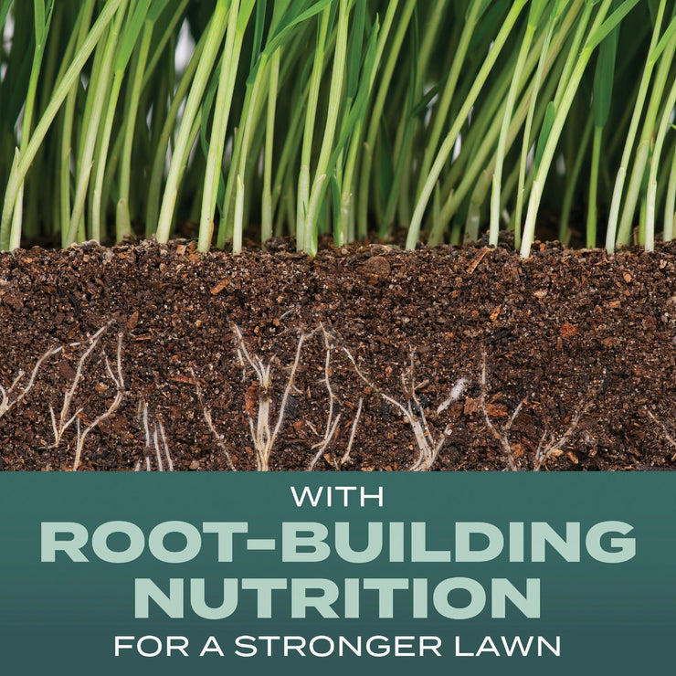 Image of Scotts Turf Builder 5.6 Lb. 465 Sq. Ft. Dense Shade Mix Grass Seed, Fertilizer, and Soil Improver Combination