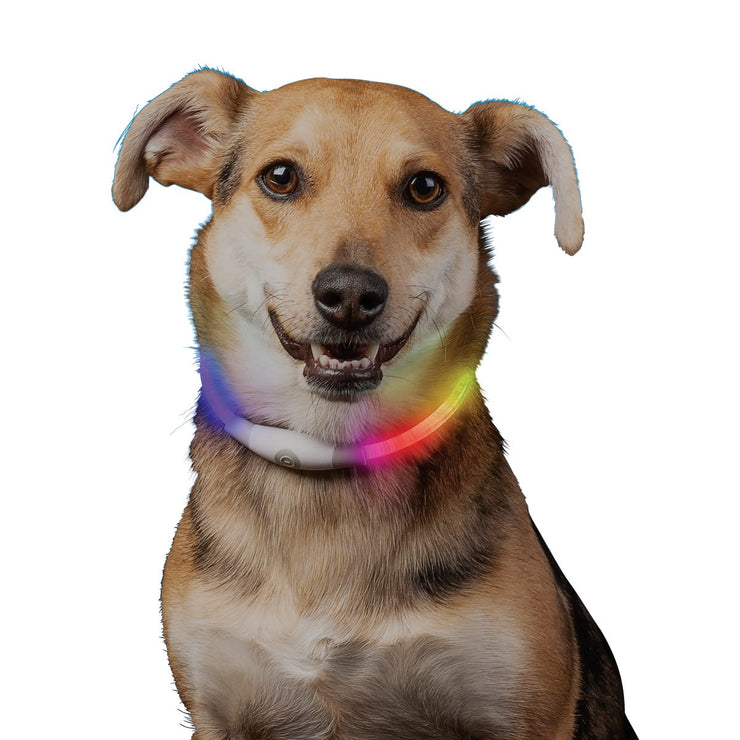 Image of Nite Ize Nite Howl Lithium Polymer Rechargeable Color Changing LED Mini Safety Necklace