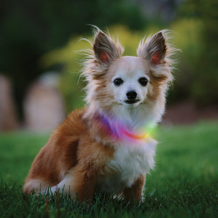 Image of Nite Ize Nite Howl Lithium Polymer Rechargeable Color Changing LED Mini Safety Necklace