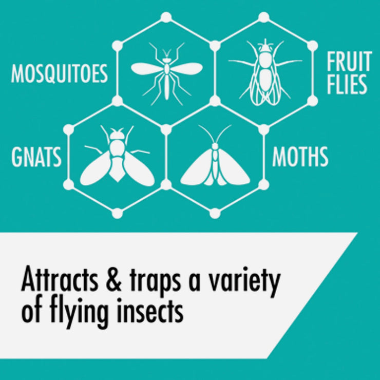 Image of Stem Reusable Indoor Flying Insects Light Trap Starter Kit