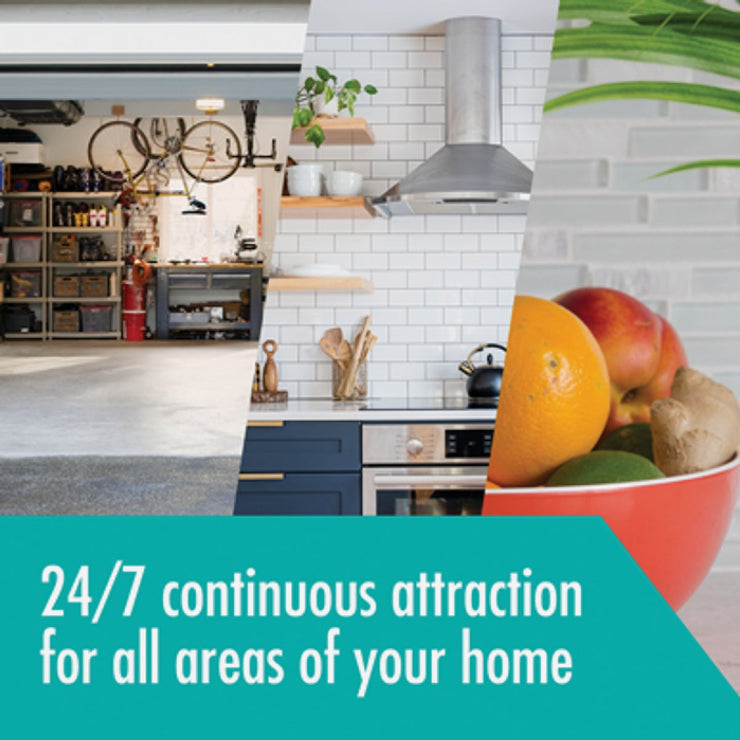 Image of Stem Reusable Indoor Flying Insects Light Trap Starter Kit