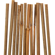 Image of Gardener's Blue Ribbon 4 Ft. Bamboo Plant Stake (12-Pack)