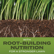 Image of Scotts Turf Builder 5.6 Lb. 465 Sq. Ft. Tall Fescue Mix Grass Seed, Fertilizer, and Soil Improver Combination