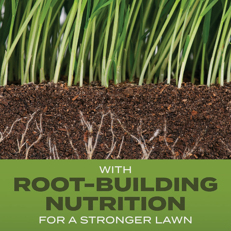 Image of Scotts Turf Builder 5.6 Lb. 465 Sq. Ft. Tall Fescue Mix Grass Seed, Fertilizer, and Soil Improver Combination