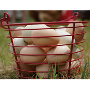 Image of Stromberg's Large Red Egg Basket