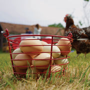 Image of Stromberg's Large Red Egg Basket