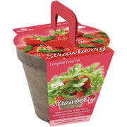 Image of TotalGreen Holland Strawberry Grow Kit