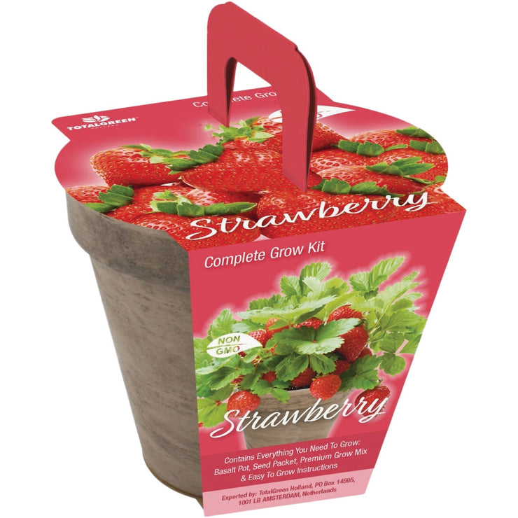 Image of TotalGreen Holland Strawberry Grow Kit