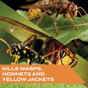 Image of Stem 10 Oz. Aerosol Spray Wasp & Hornet Killer