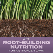Image of Scotts Turf Builder 5.6 Lb. 700 Sq. Ft. Perennial Ryegrass Mix Grass Seed, Fertilizer, and Soil Improver Combination