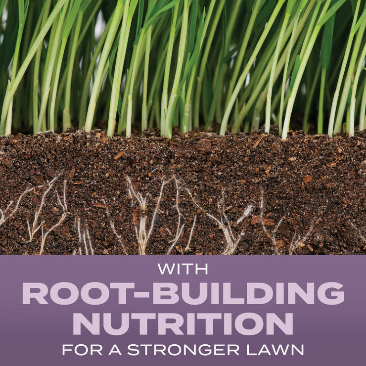 Image of Scotts Turf Builder 5.6 Lb. 700 Sq. Ft. Perennial Ryegrass Mix Grass Seed, Fertilizer, and Soil Improver Combination