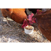 Image of Wonder Garden Grub 6 Lb. Feed Supplement