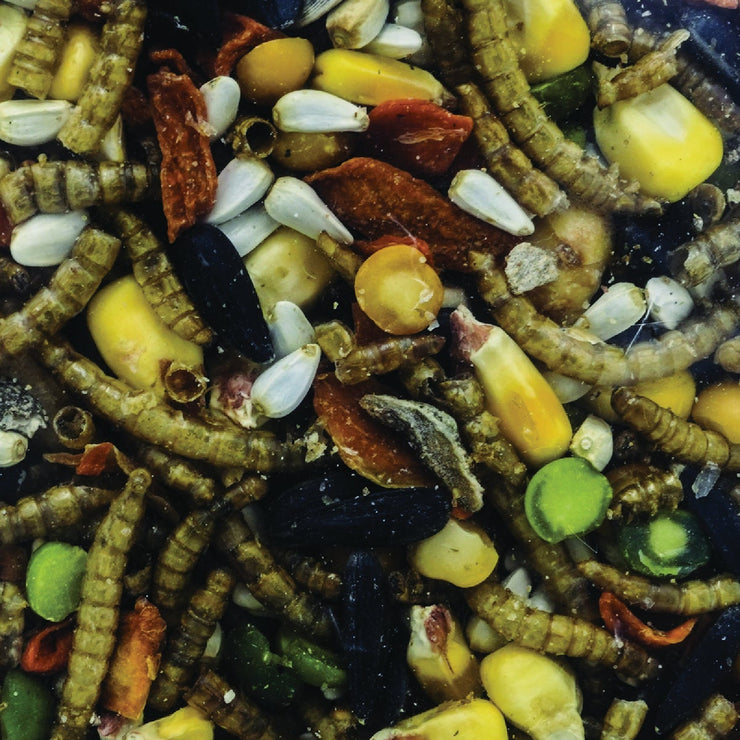 Image of Wonder Garden Grub 6 Lb. Feed Supplement