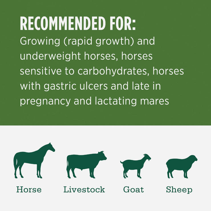 Image of Standlee Premium Western Forage 50 Lb. Premium Alfalfa Grab & Go Compressed Bale