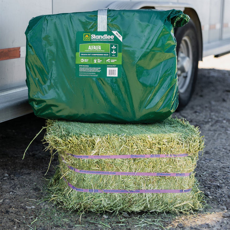 Image of Standlee Premium Western Forage 50 Lb. Premium Alfalfa Grab & Go Compressed Bale