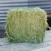 Image of Standlee Premium Western Forage 50 Lb. Premium Alfalfa Grab & Go Compressed Bale