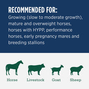 Image of Standlee Premium Western Forage 50 Lb. Premium Timothy Grab & Go Compressed Bale