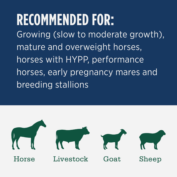 Image of Standlee Premium Western Forage 50 Lb. Premium Timothy Grab & Go Compressed Bale
