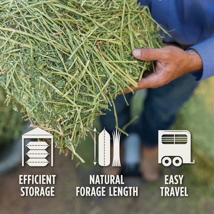 Image of Standlee Premium Western Forage 50 Lb. Premium Timothy Grab & Go Compressed Bale