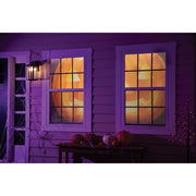 Image of Evergreen Shadow Scapes Jack O' Lantern Window Shade (Set of 2)