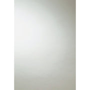 Erias Home Design 36 In. W. x 48 In. H. Frameless Polished Edge Wall Mirror