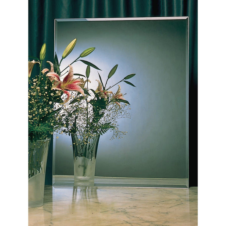 Erias Home Design 20 In. W. x 24 In. H. Frameless Beveled Edge Wall Mirror