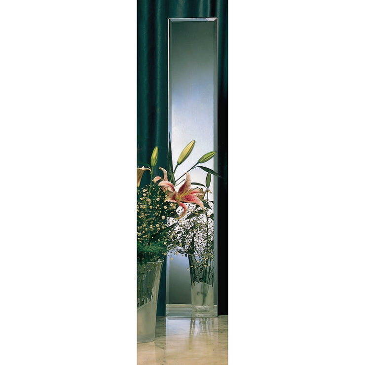 Erias Home Designs 16 In. W. X 60 In. H. Frameless Beveled Edge Door Mirror