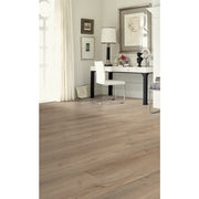 Shaw Floorte Pro Endura Plus Driftwood 7 In. W x 48 In. L Vinyl Rigid Core Floor Plank (18.68 Sq. Ft./Case)