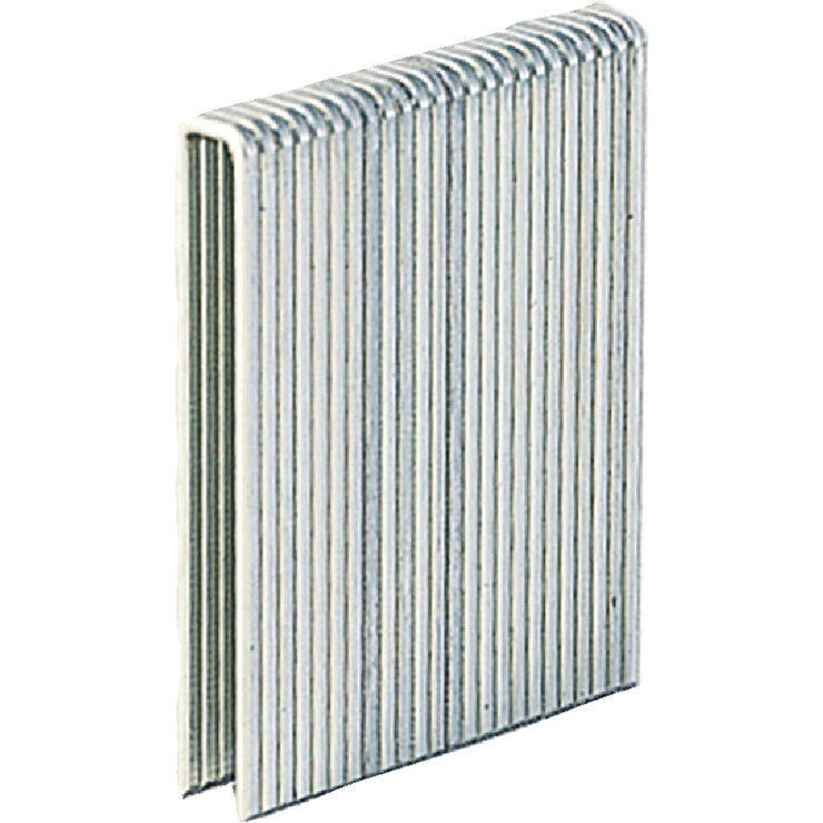 Grip-Rite PrimeGuard Max 18-Gauge 304-Stainless Steel L-Style Narrow Crown Finish Staple in Resealable Belt Clip Box, 1/4 In. x 1-1/2 In. (1000 Ct.)