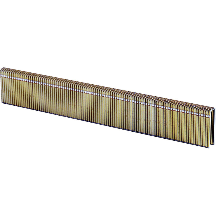 Grip-Rite 18-Gauge Galvanized L-Style Narrow Crown Finish Staple, 1/4 In. x 1-1/2 In. (4000 Ct.)