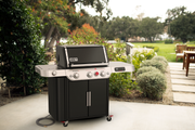 Weber Genesis EPX-335 Natural Gas