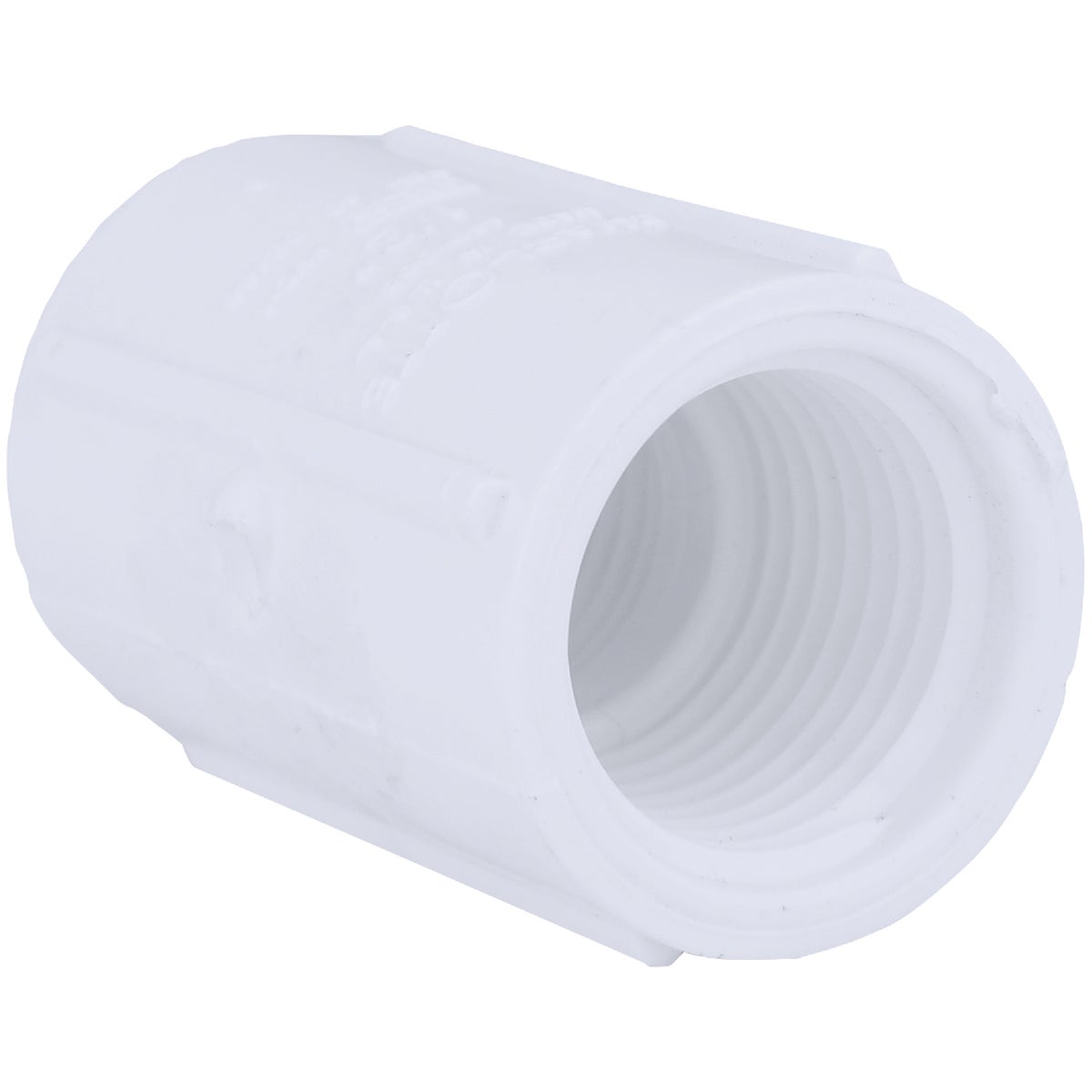 Charlotte Pipe 1/2 In. FIP Sch. 40 Threaded PVC Coupling – Hemlock Hardware